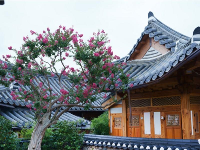 Dajeong Guesthouse Чонджу Екстериор снимка